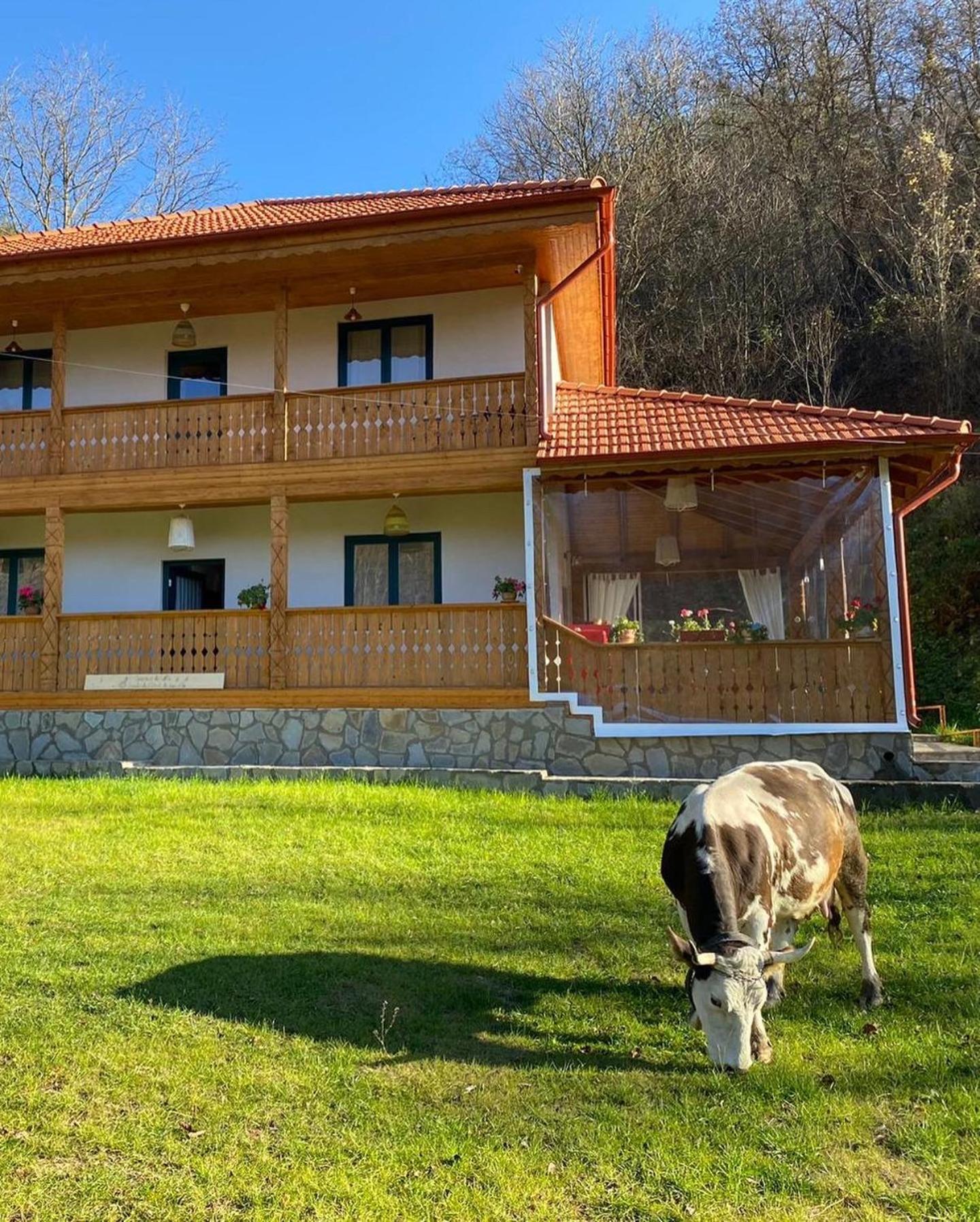 مبيت وإفطار Colti Casa Lila المظهر الخارجي الصورة